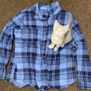 Large blue sweater plaid